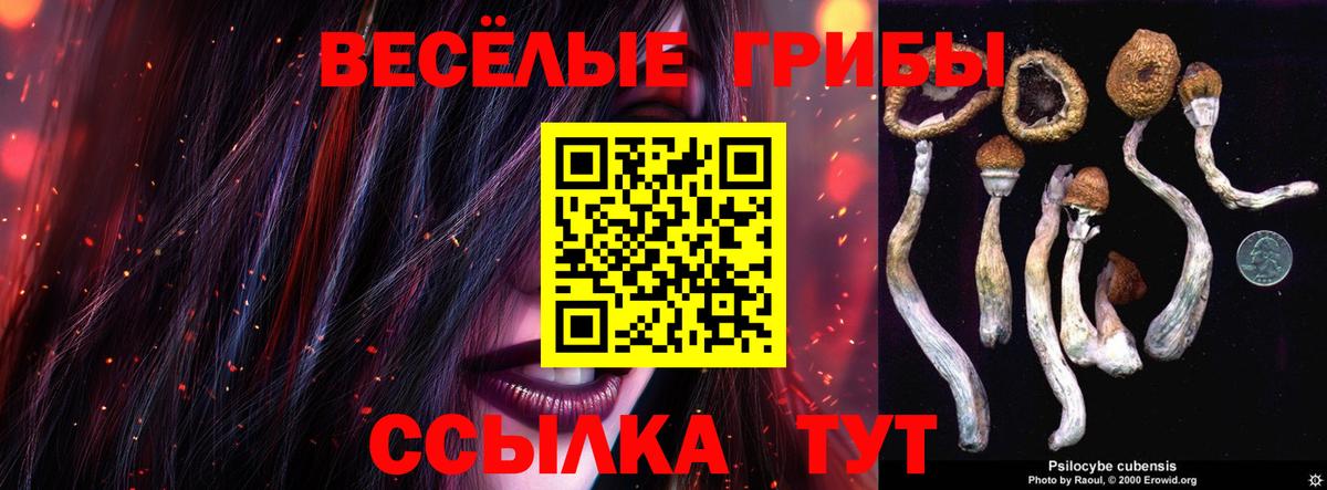 Галлюциногенные грибы мухоморы Ипатово