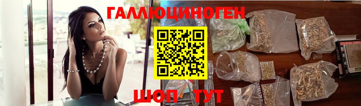 Псилоцибиновые грибы Psilocybine cubensis  Вход с VPN  Ипатово 